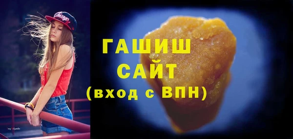 гашик Алексин