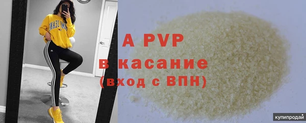 гашик Алексин