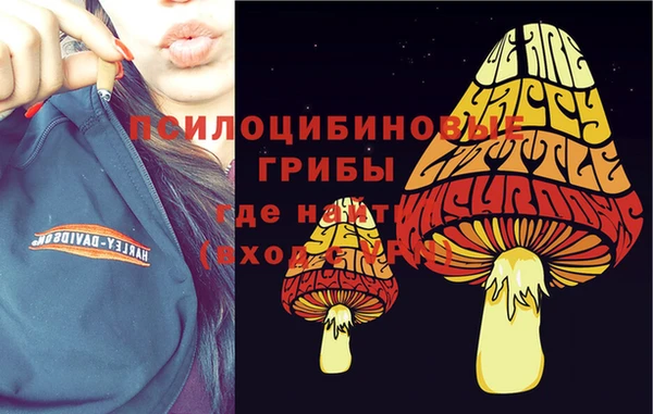 амф Алексеевка
