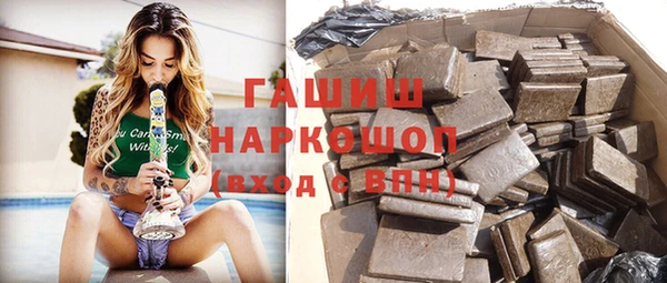 гашик Алексин