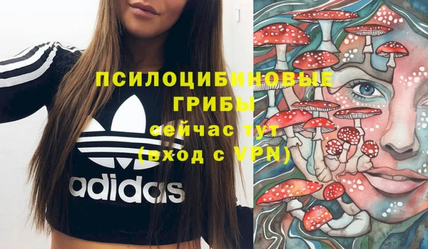 а пвп мука Абаза