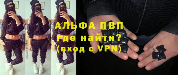 гашик Алексин