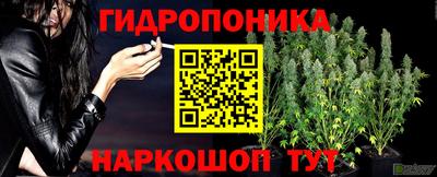 МДПВ Канаш