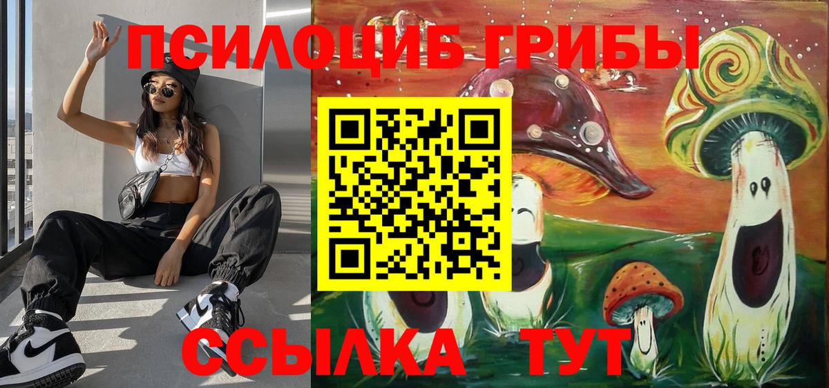 Галлюциногенные грибы Psilocybine cubensis Миллерово